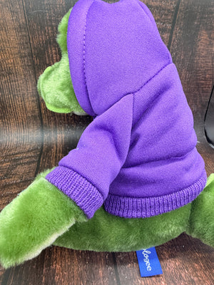 Allie Gator in a Sawgrass Recreation Park Hoodie in Purple
