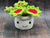 Venus Fly Trap Plant Succulent Desk Buddy