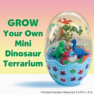 Mini Garden Dinosaur Craft Kit