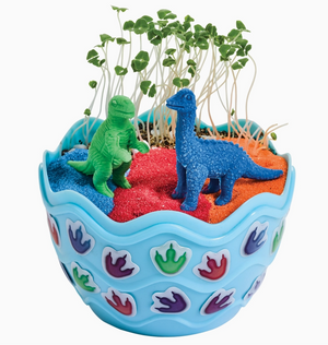 Mini Garden Dinosaur Craft Kit