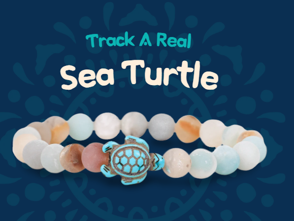fahlo animal tracking bracelet Turtle with Sky Stones