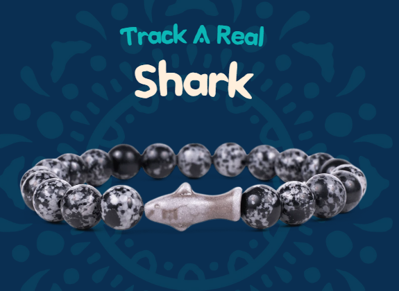 fahlo animal tracking bracelet Shark with Ocelli Stones