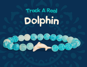 fahlo animal tracking bracelet Dolphin with Aqua Blue Stones