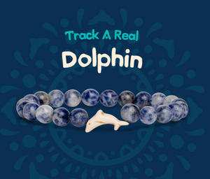 fahlo animal tracking bracelet Dolphin with Coastal Blue Beads