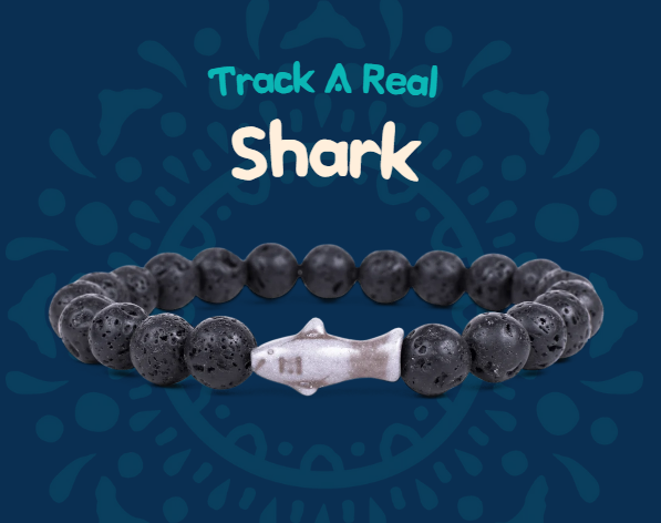 fahlo animal tracking bracelet Shark Deep Blue Stones