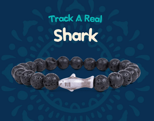 fahlo animal tracking bracelet Shark with Lava Stone