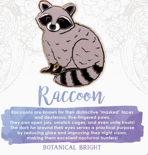 Raccoon Enamel Pin