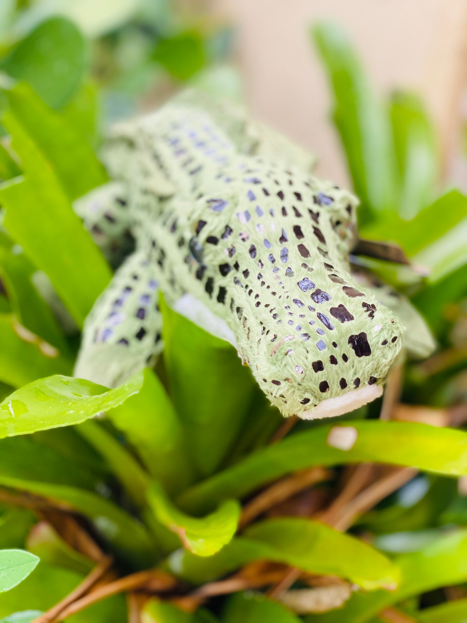 Eco Friendly American Alligator Bean Bag Plush by Aurora