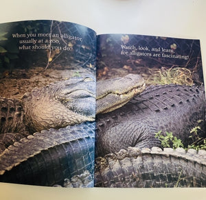 Never Kiss an Alligator Book!