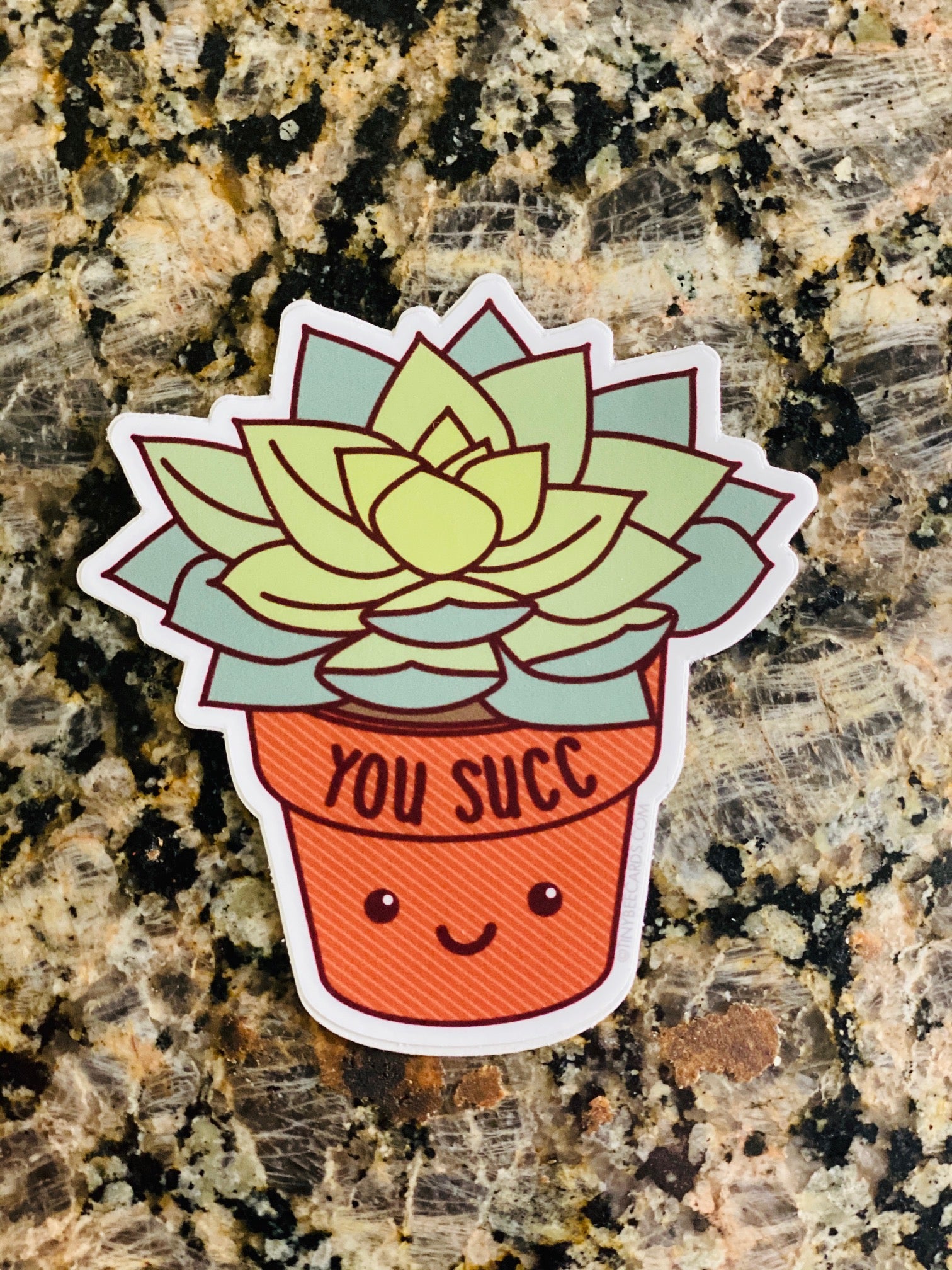 Succulent Plant Stickers