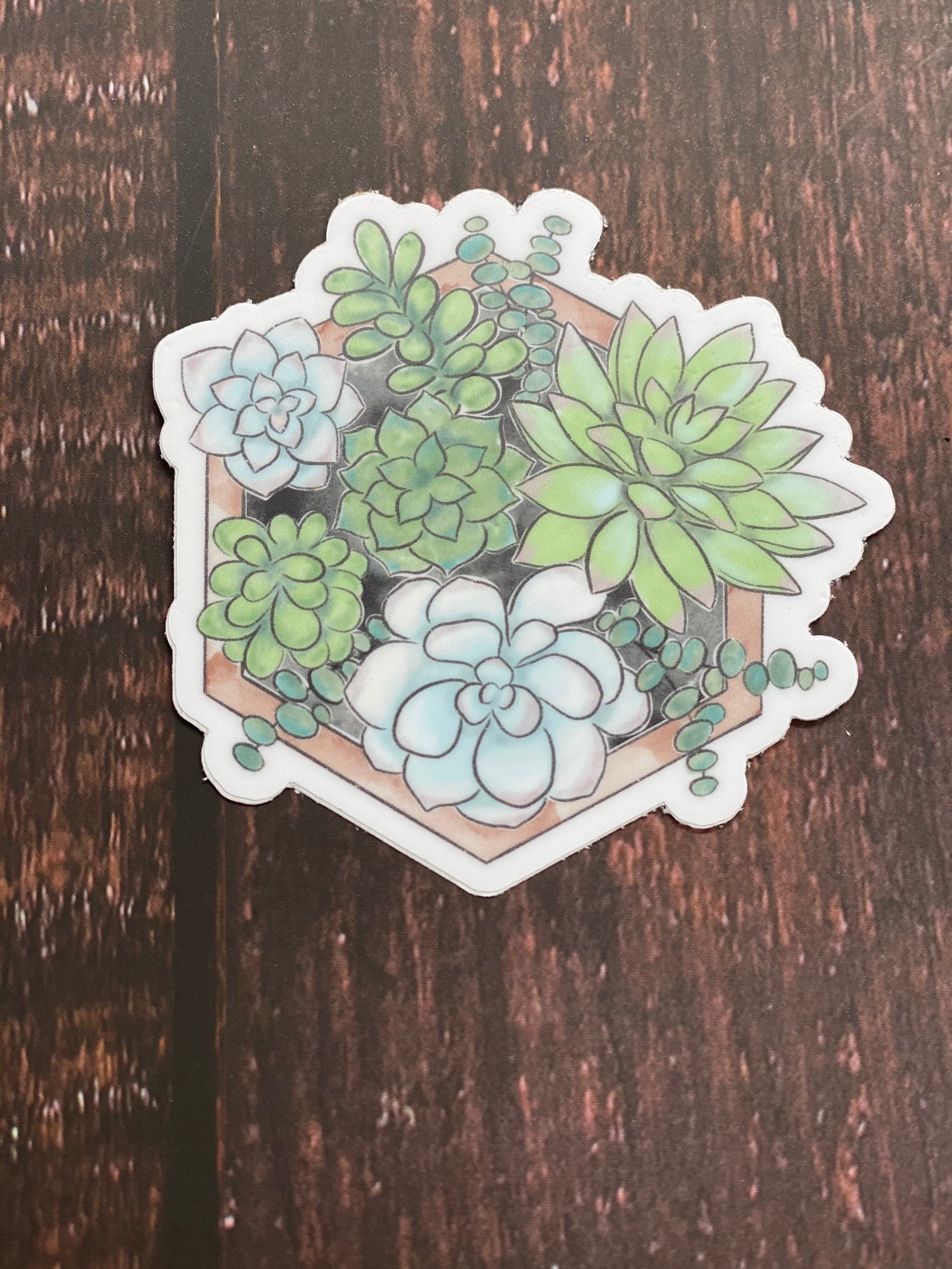 succulent stickers Pastel Plant Series Vinyl Stickers!